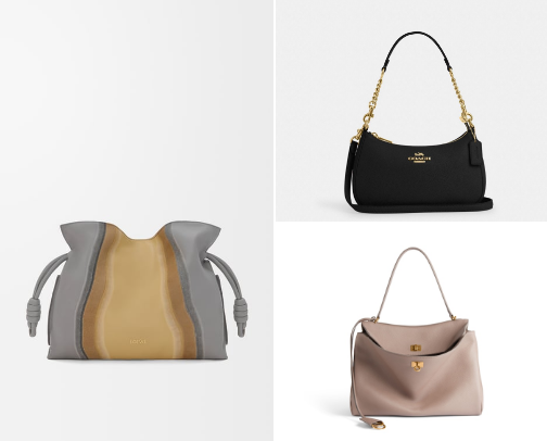 BagXury cover photo collage