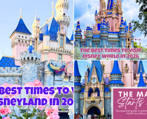 My Essential Travel Guides for Theme Parks & Vacations cover photo collage