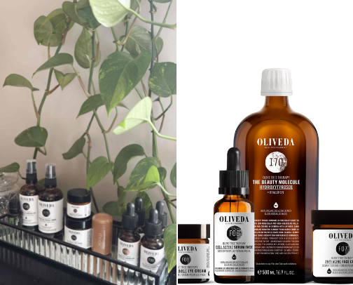 Clean & Waterless Beauty cover photo collage