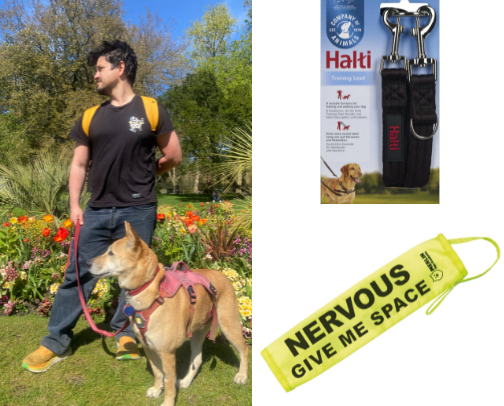 Essentials for a reactive dog on walks 🐶 (TRUST me I’m a vet nurse) cover photo collage