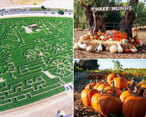 Frights and Delights: Northern California’s Halloween Hotspots cover photo collage