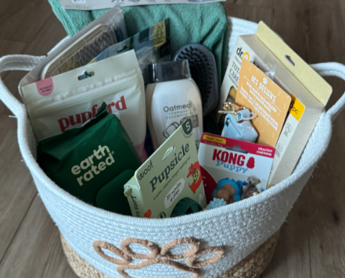 Surviving Puppyhood: My Must-Have Products cover photo collage