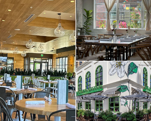 Eat Clean in H-Town: Must-Try Organic Restaurants Around Houston, TX cover photo collage