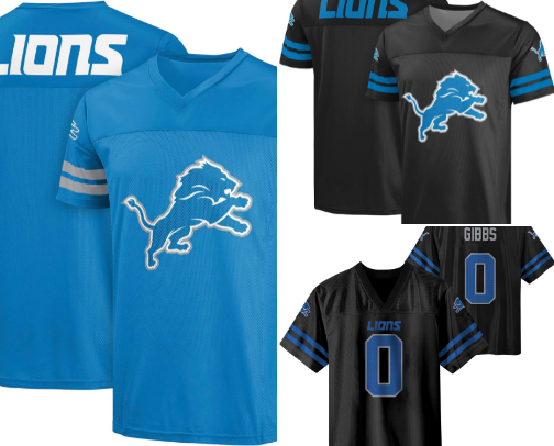 What I Use to Cheer on the Lions cover photo collage