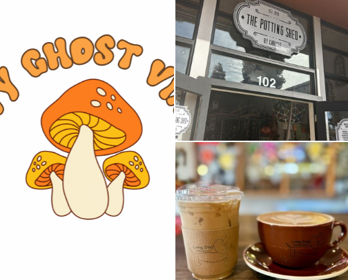 Old Towne Orange Recommendations cover photo collage