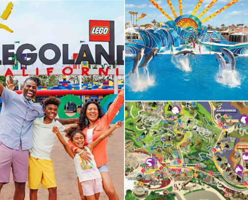 Where to Take the Kids in SD 🌴 cover photo collage