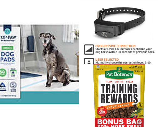 From Rascally to Refined: Dog Behavior Fixes cover photo collage