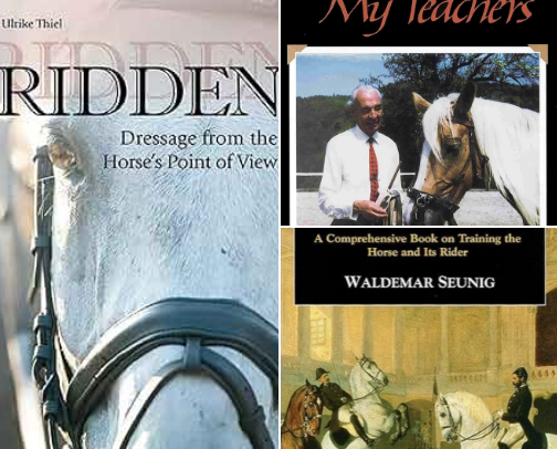 "Can't put down" Reading For Equestrians - Become the best rider and horseowner you can be' cover photo collage