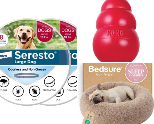 Pet Supplies Worth Buying: 18 Bestselling Dog & Cat Essentials 🐾 cover photo collage