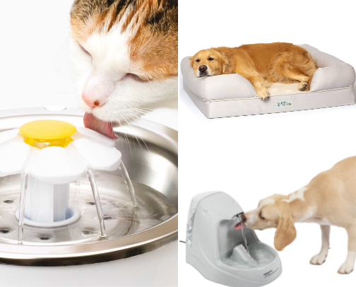 🐶 My Recommended Pet Essentials cover photo collage