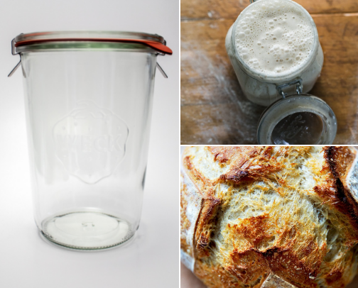 Sourdough starter for starters! cover photo collage