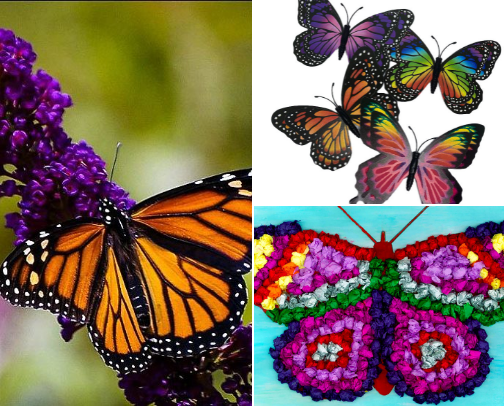 Butterfly 🦋 visual ideas for incorporating butterfly elements into your space cover photo collage