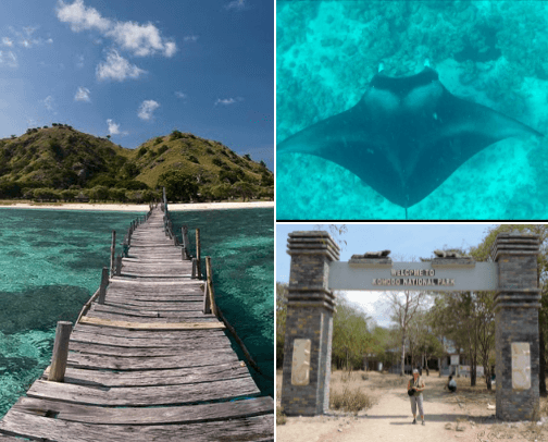 Must-Visit Destinations on Komodo Island, Indonesia cover photo collage