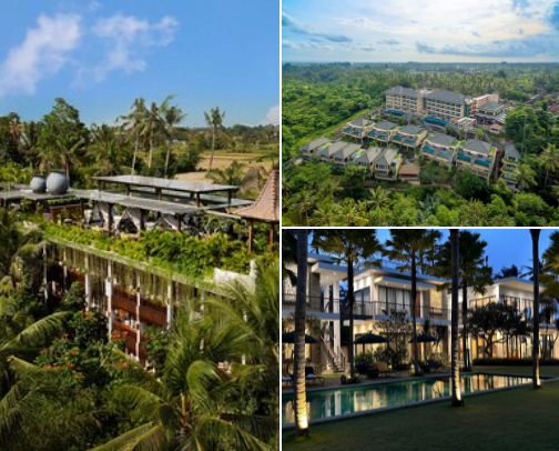Best Hotel in Bali under $100 by Tripadvisor cover photo collage