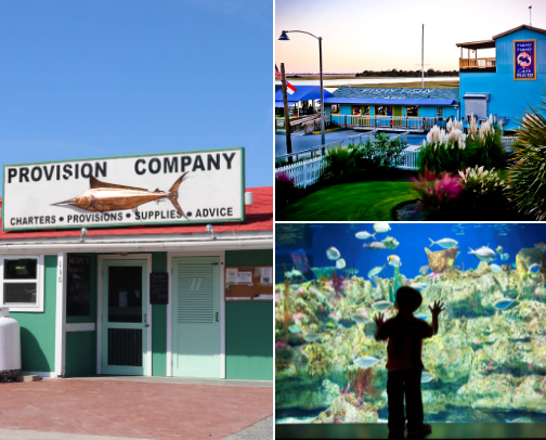 The Wanderer's Guide: Places to See, Experiences to Cherish
My recs in and around Southport NC cover photo collage