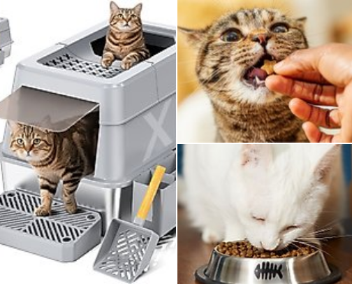 cat mom favs cover photo collage