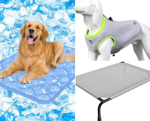 Hot Dog Summer: Amazon Finds That Keep Arie Cool, Hydrated & Beach-Ready cover photo collage