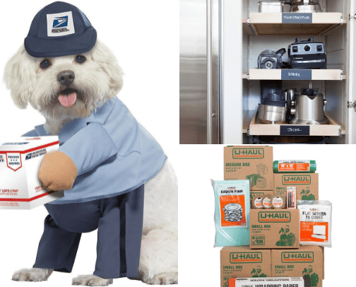 Pet Holiday cover photo collage