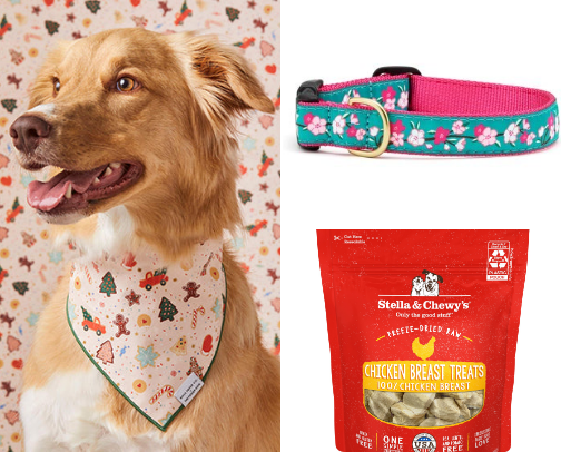 These are a few of DINKWADS favorite things cover photo collage