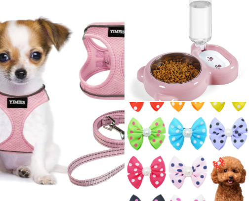 My most recommended pet supplies and accessories for little dogs! cover photo collage