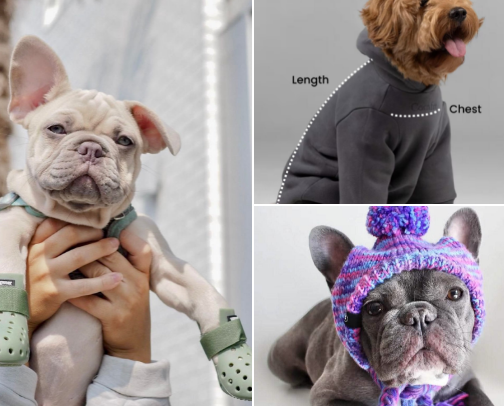 Winter Dog Gear ❄️ ⛄️ cover photo collage