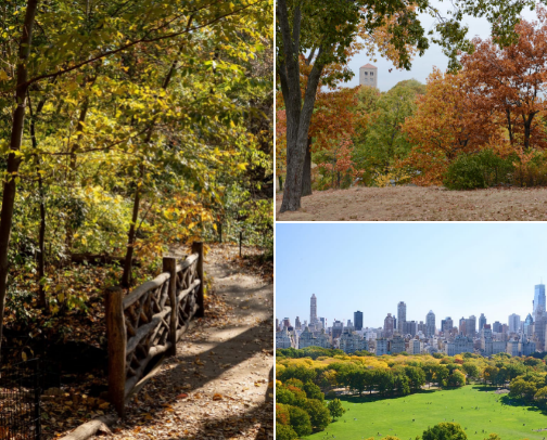 Best Walking Spots in NYC to Clear Your Head (Peaceful + Aesthetic) cover photo collage