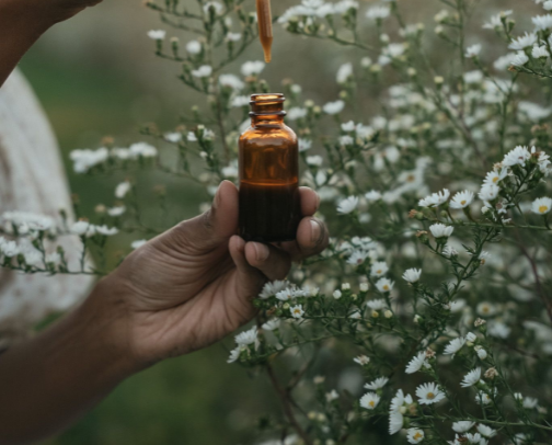 My Go-To Homeopathic + Holistic Remedies cover photo collage