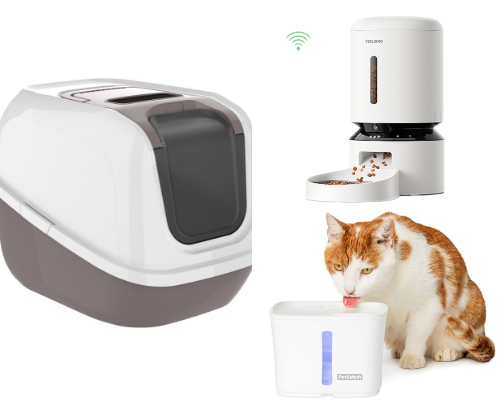 The Ultimate Kitten Starter Kit: Everything New Cat Parents Need in 2026 cover photo collage