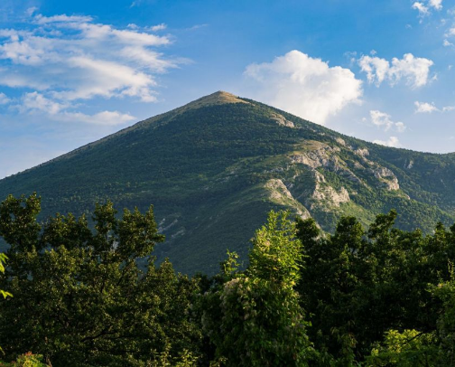 Hiking Rtanj with My Son – Bambi Kids' Hike cover photo collage