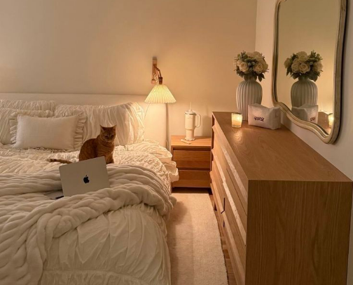 Cozy Core Appliances: Home Upgrades That Pay Off  cover photo collage