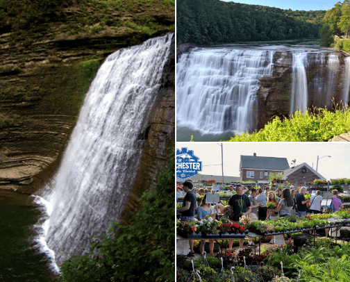 Things To Do cover photo collage