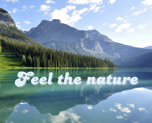 The Earth is small, what are you waiting for ? 🌐💚 cover photo collage