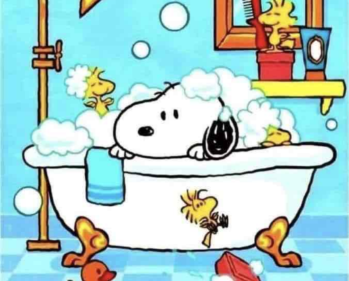 Women hygiene necessities🫧 cover photo collage