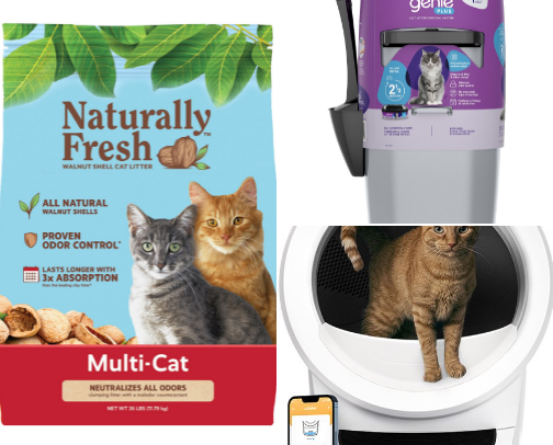 Cat Must-Haves cover photo collage