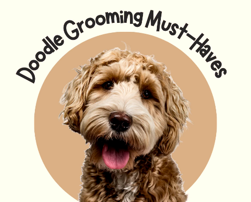Doodle Grooming Must-Haves cover photo collage
