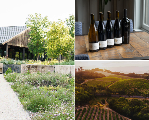 Sommelier approved wineries in Sonoma cover photo collage