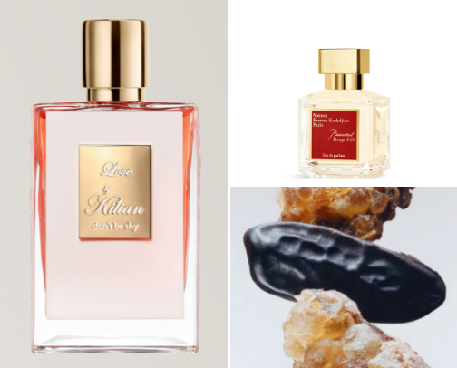 Smell Like a Dream | Irresistible Fragrances to Crush On cover photo collage