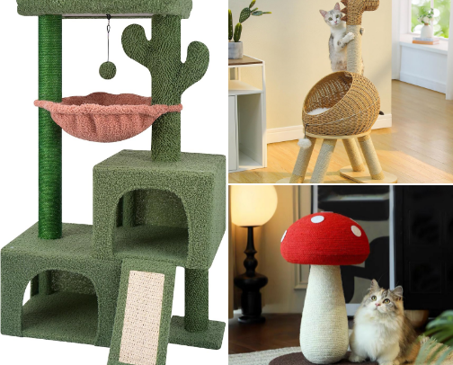 All the quirky things my cat needs- toys, beds and more! cover photo collage