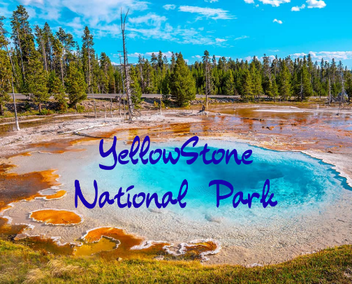 Yellowstone National Park: Must-Have Gear & Tips for Your Trip cover photo collage