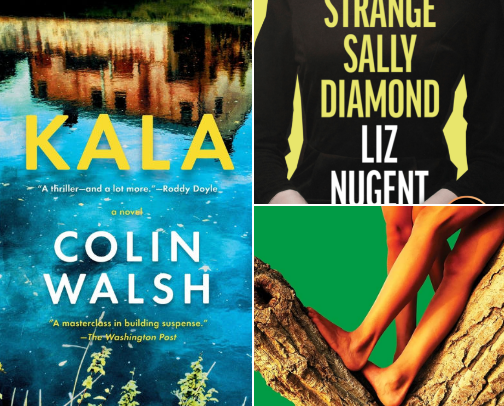 Irish book recommendations from an Irish girl cover photo collage