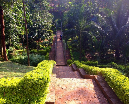My top Yaounde recs cover photo collage