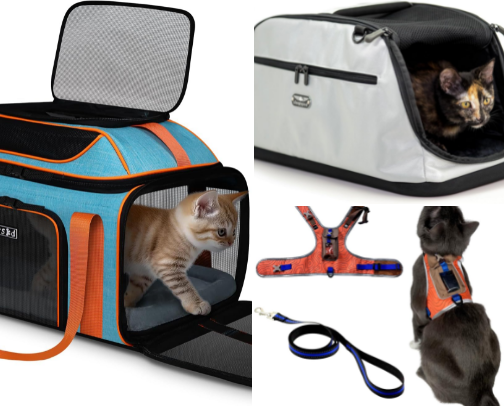 The Jet-Set Cat: Luxury Travel & Adventure cover photo collage