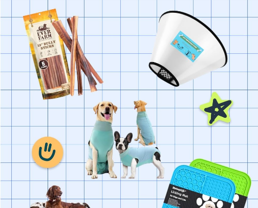 Recovery Items for Dogs cover photo collage