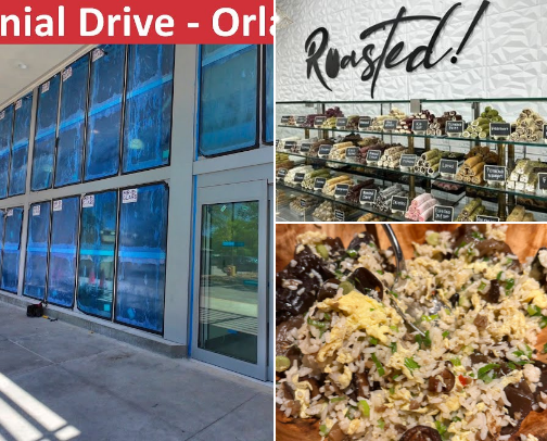 Stores, malls, restaurants around Florida, especially Tampa Bay! cover photo collage