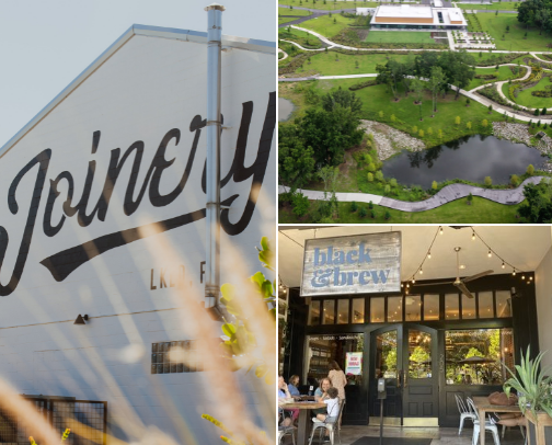 The Local Lakelander cover photo collage