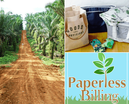 Eco-Friendly Habits for a Greener Daily Routine cover photo collage