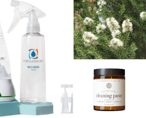 Chemical Free Cleaning cover photo collage