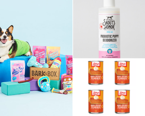 My Dogs Recommendations cover photo collage