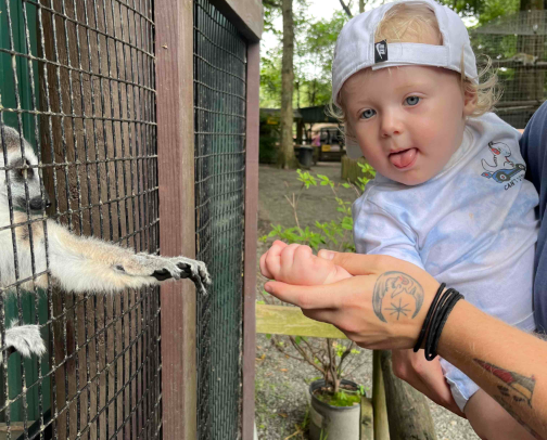 Things to do in Charleston, SC | Kids Edition cover photo collage