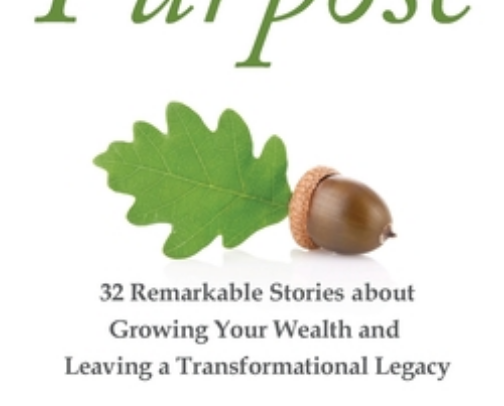 My favorite book recs cover photo collage